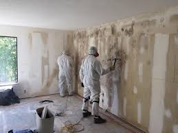  Ellensburg, WA Mold Removal Pros